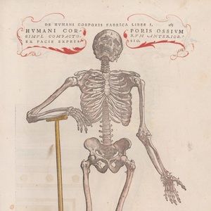 Meet your Posher, Radman